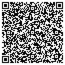 QR code with Pro Tint Audio contacts