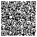 QR code with Tavern contacts
