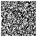 QR code with Celebration Station contacts