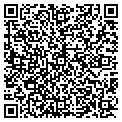 QR code with Galley contacts