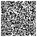 QR code with Premiere Audio Group contacts