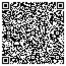 QR code with Pub By Chapin's contacts