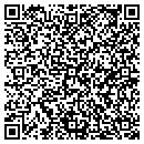 QR code with Blue River Antiques contacts