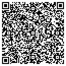 QR code with Briar Patch Antiques contacts