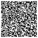 QR code with China Blue Antiques contacts