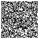QR code with Carilion Labs contacts