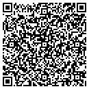 QR code with Profound Paradigms contacts