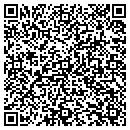 QR code with Pulse Labs contacts