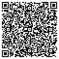 QR code with Fiddle contacts