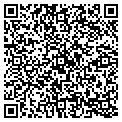 QR code with Subway contacts