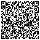 QR code with Ptm Mfg LLC contacts