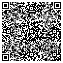 QR code with Pump It Up contacts