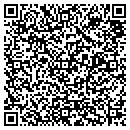 QR code with Cg Tel Co Voice Mail contacts