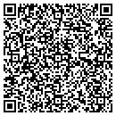 QR code with Carl Venture Inc contacts