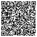 QR code with Gadget contacts