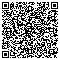 QR code with Subway contacts