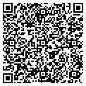 QR code with P Paone contacts