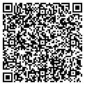QR code with Maple Commons contacts
