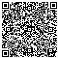 QR code with Subway contacts