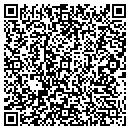 QR code with Premier Telecom contacts
