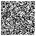 QR code with Calico contacts
