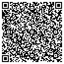 QR code with Blue Mountain Antiques contacts