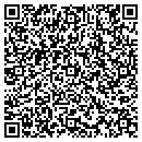 QR code with Candeloro's Antiques contacts