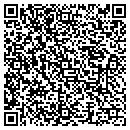 QR code with Balloon Discoveries contacts