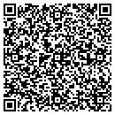 QR code with Cellular Connection contacts