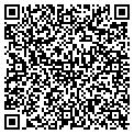 QR code with Subway contacts