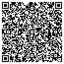 QR code with Boise Courier Service contacts