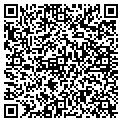 QR code with Subway contacts