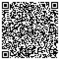 QR code with Basiw contacts