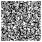 QR code with Pulse Construction Corp contacts