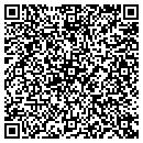 QR code with Crystal Concepts Inc contacts