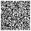 QR code with Premier Subs contacts