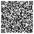 QR code with Subway contacts