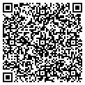 QR code with Subway contacts