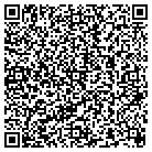 QR code with Spring Meadows Antiques contacts