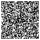 QR code with Premier Graphics contacts