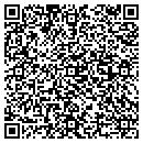QR code with Cellular Connection contacts