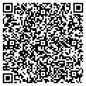 QR code with Subway contacts