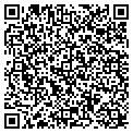QR code with Subway contacts