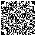QR code with Subway contacts