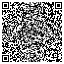 QR code with Psi Connection contacts