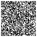 QR code with Pub in the Park Inc contacts