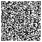 QR code with Blimpie Of Roxbury Inc contacts