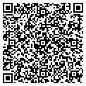 QR code with Subway contacts