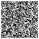 QR code with Pricing Dynamics contacts