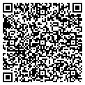 QR code with Clavos contacts